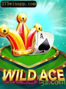 Explorando WildAce: O Jogo de Cartas Inovador do Ano